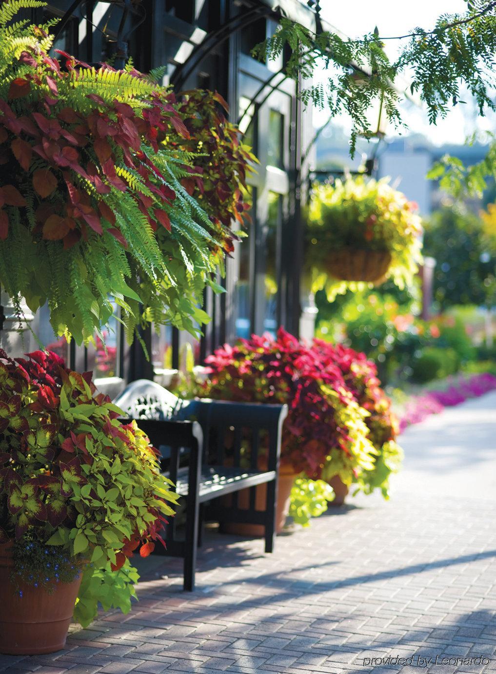 Blennerhassett Hotel Parkersburg Εξωτερικό φωτογραφία